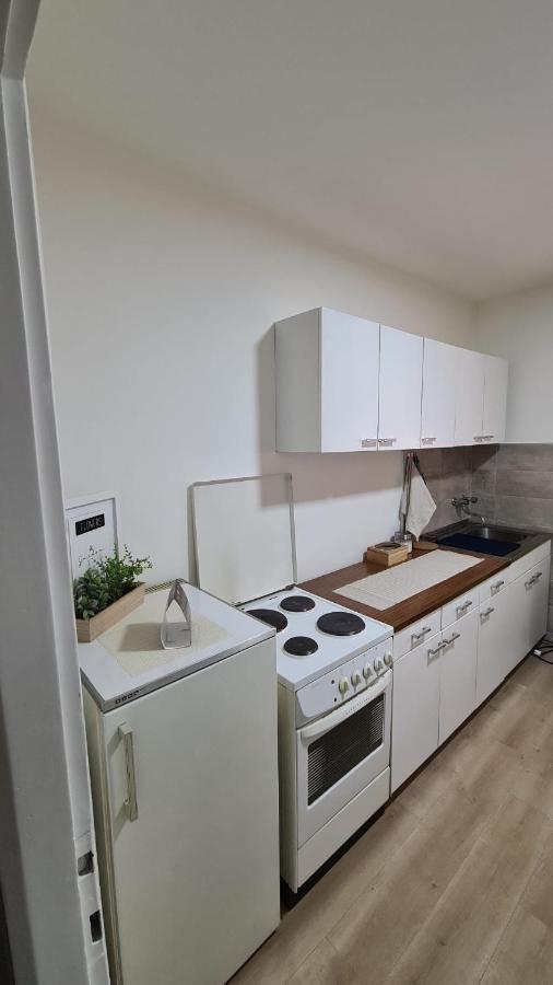 Apartman Pavlovic Λέσκοβατς Εξωτερικό φωτογραφία