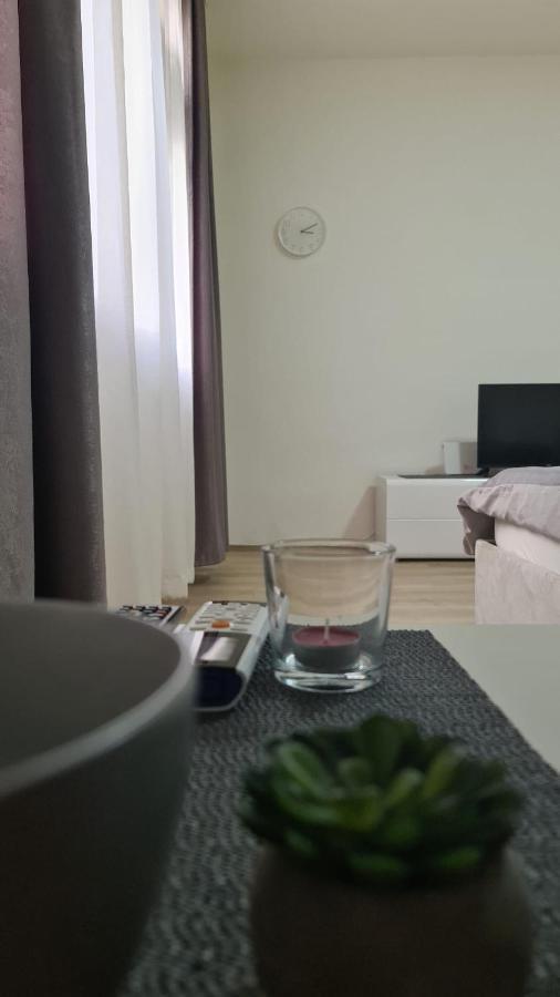 Apartman Pavlovic Λέσκοβατς Εξωτερικό φωτογραφία